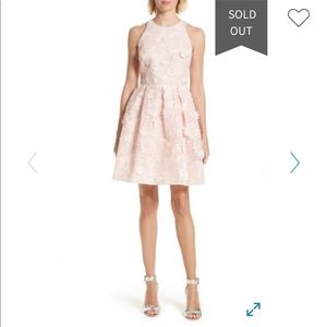 Ted Baker Soft Pink Lace A-Line Skater Dress
